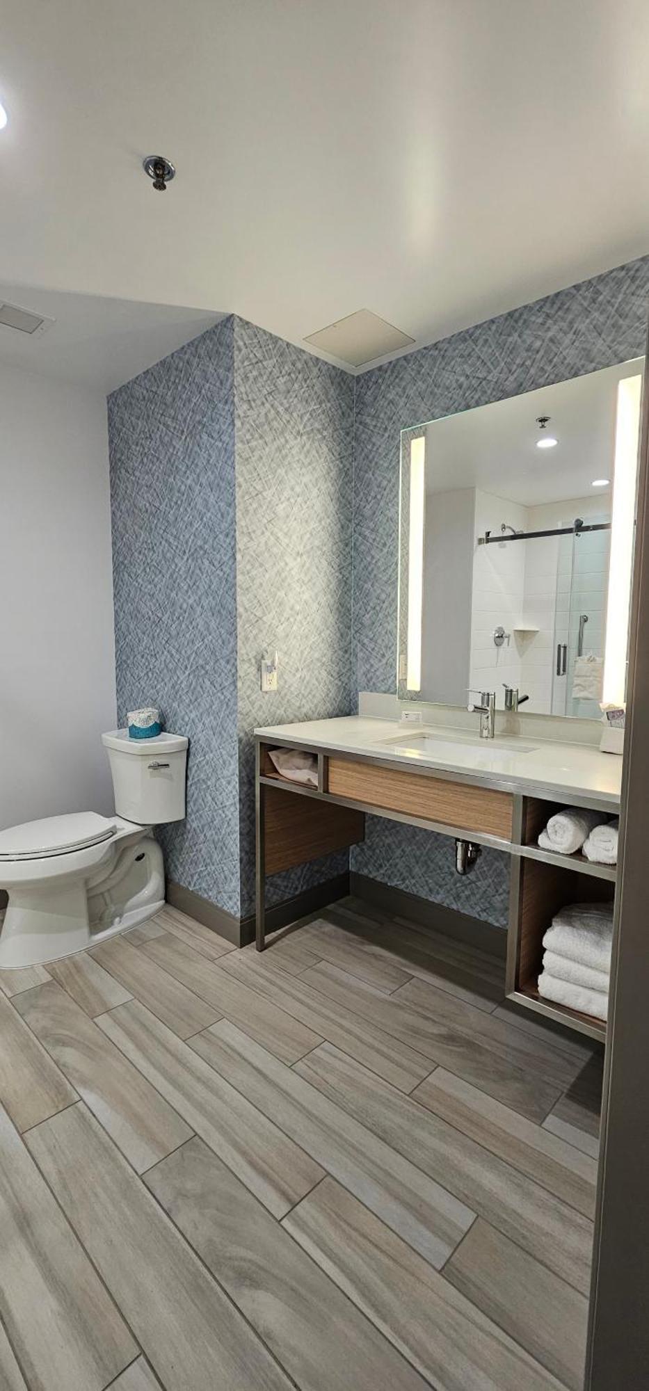 Hilton Garden Downtown, Co Hotel 3*